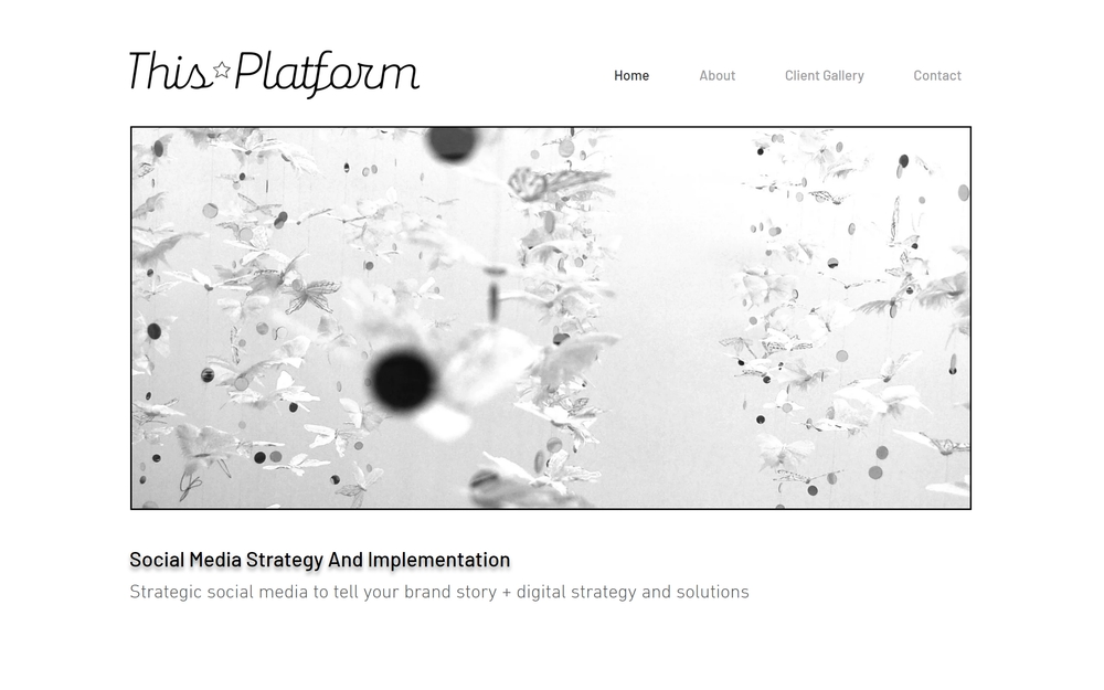 img of B2B Digital Marketing Agency - This Platform